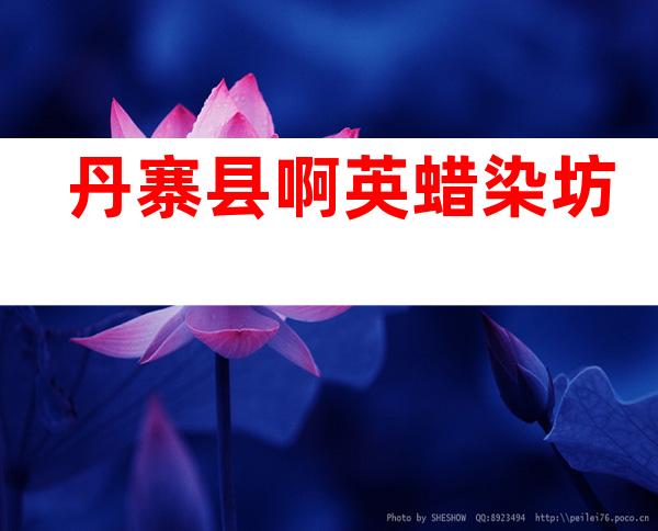 丹寨县啊英蜡染坊
