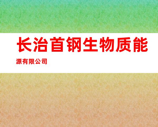 长治首钢生物质能源有限公司