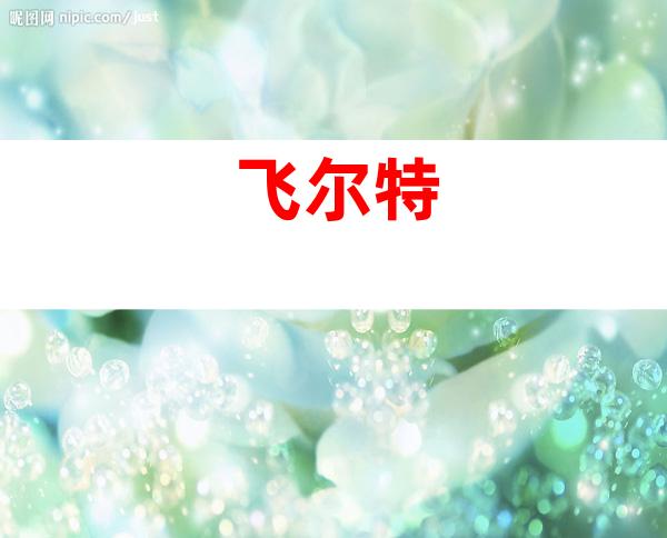 飞尔特